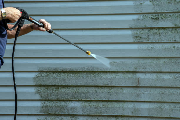 Best Roof Power Washing Services  in Wabasha, MN