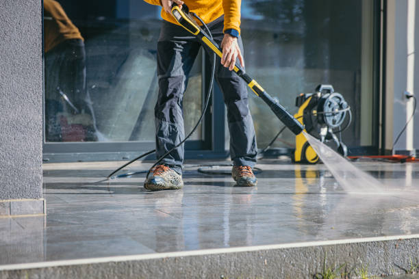 Best Roof Pressure Washing  in Wabasha, MN