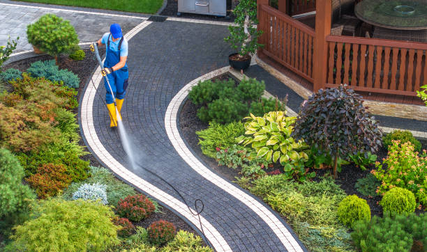 Best Roof Power Washing Services  in Wabasha, MN