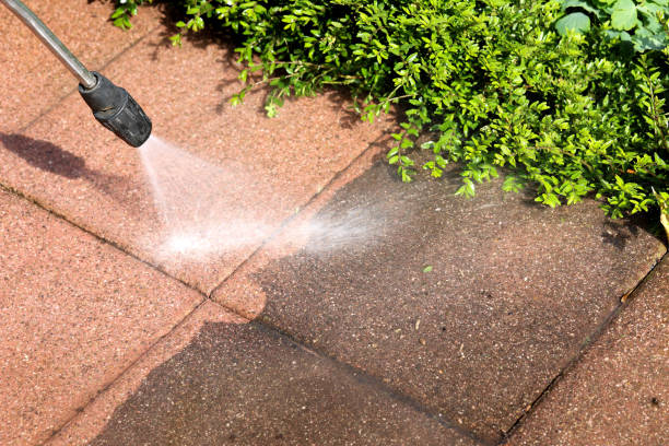 Best Commercial Building Pressure Washing  in Wabasha, MN